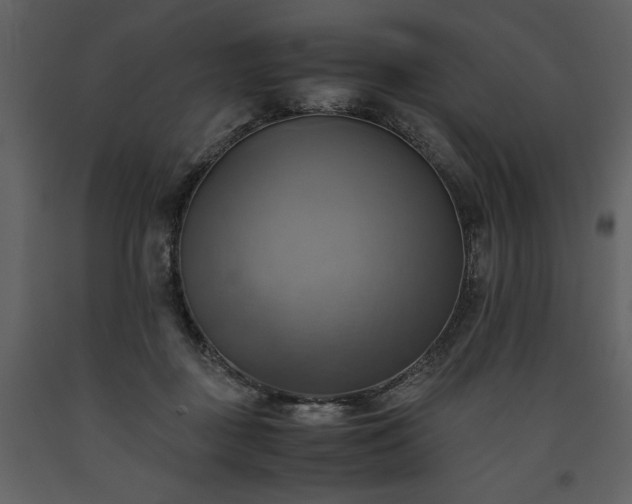 X0000093610363200710221612