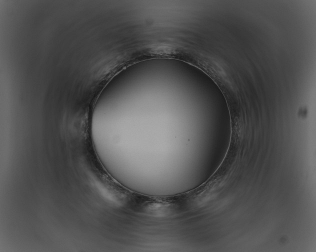 X0000093610364200710221612