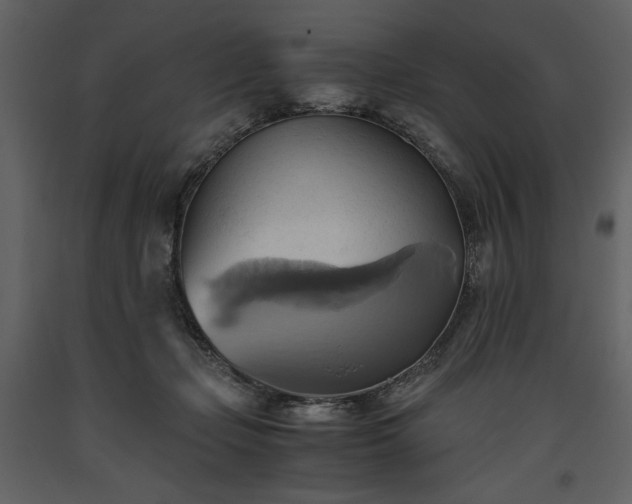 X0000093610365200710221612