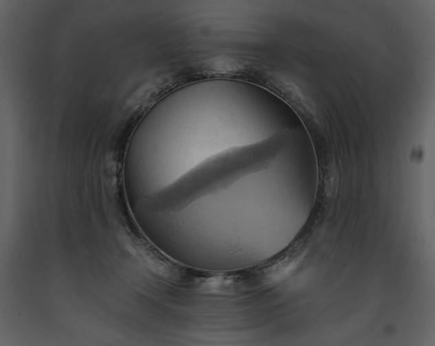 X0000093610366200710221612