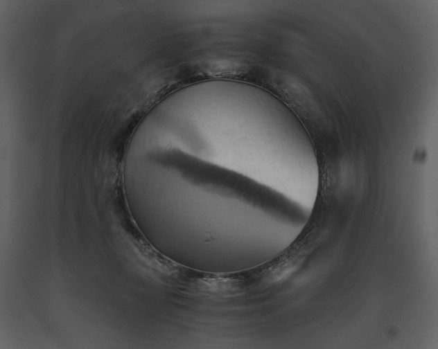X0000093610367200710221612