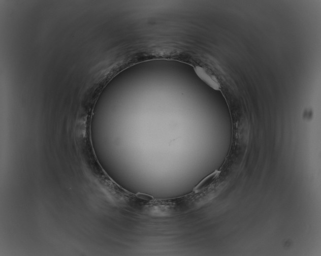 X0000093610368200710221612