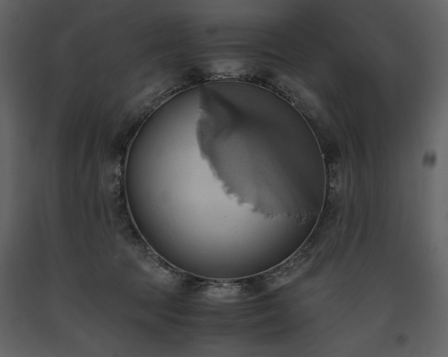 X0000093610369200710221612