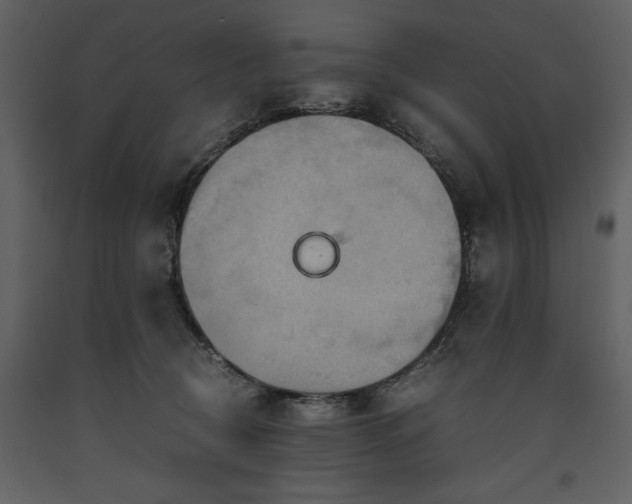 X0000093610370200710221612