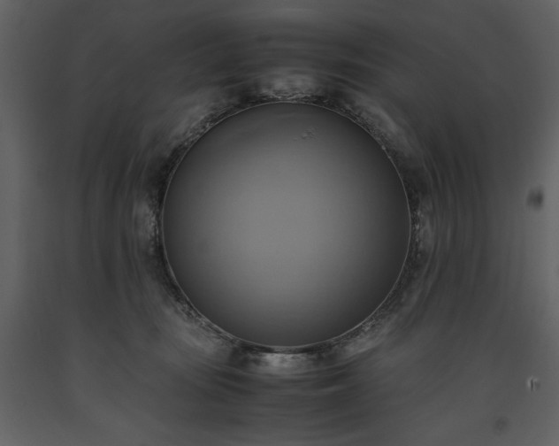 X0000093610371200710221612