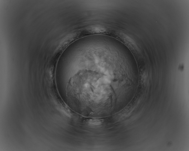 X0000093610373200710221612