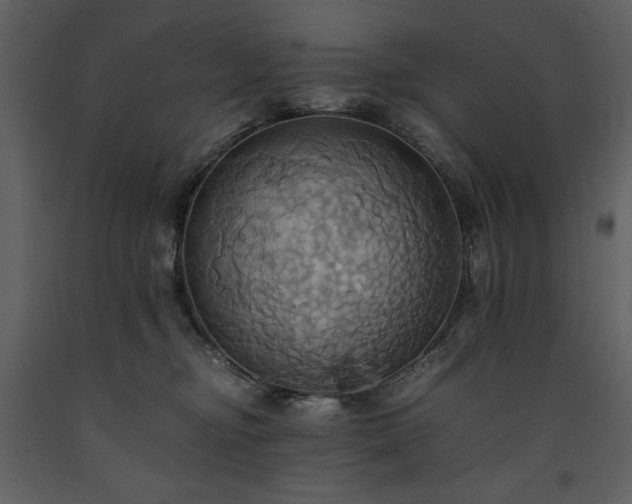 X0000093610374200710221612