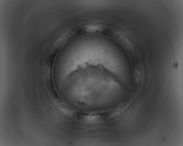 X0000093610375200710221612