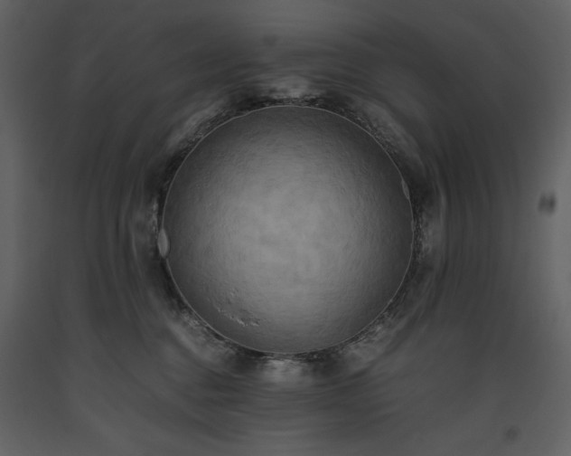 X0000093610376200710221612