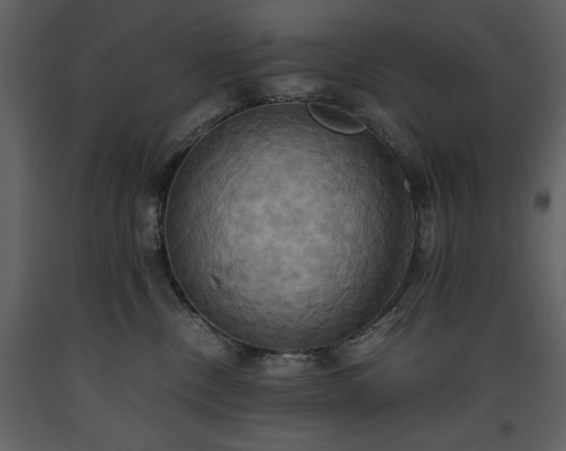 X0000093610378200710221612