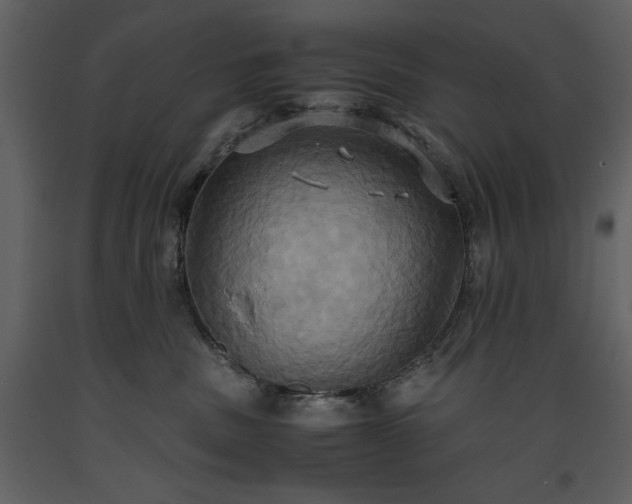 X0000093610379200710221612