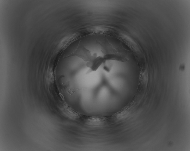 X0000093610381200710221612