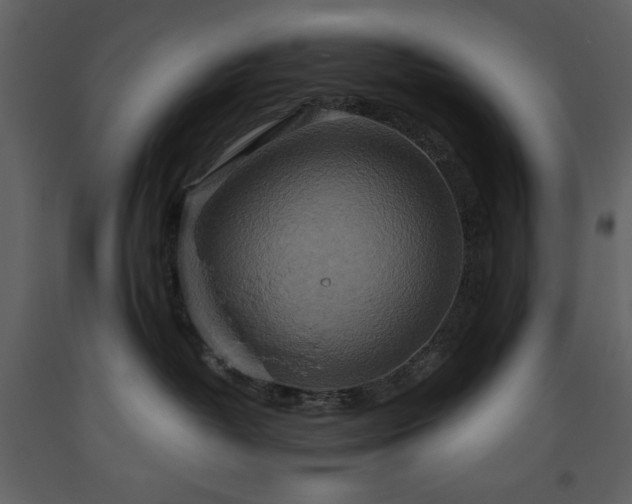 X0000093610382200710221612