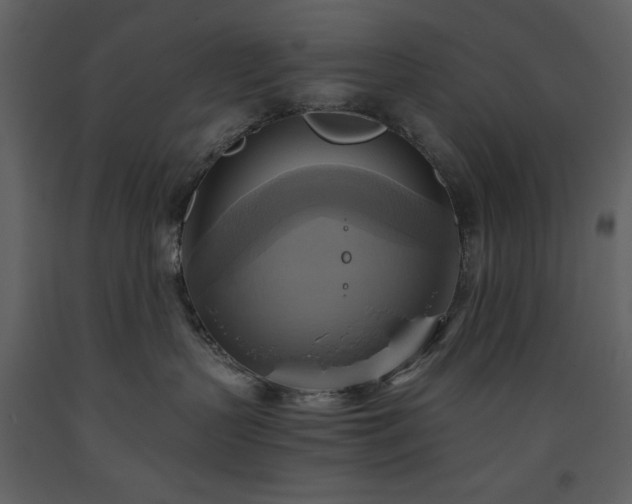 X0000093610383200710221612