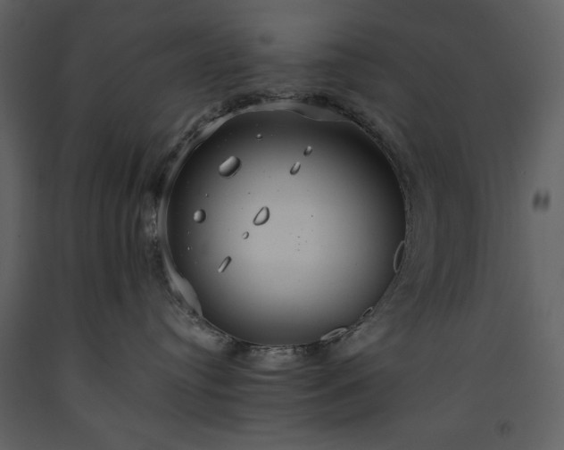 X0000093610384200710221612