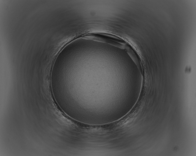 X0000093610385200710221611