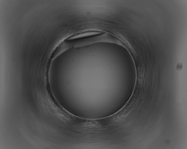 X0000093610386200710221611