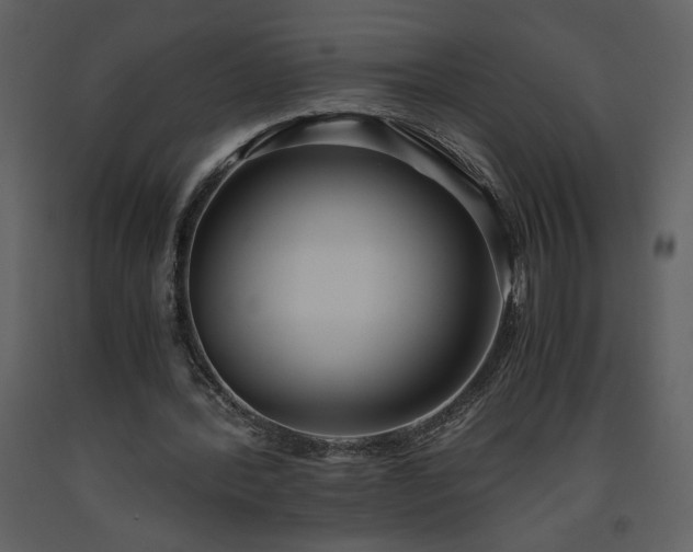X0000093610388200710221611