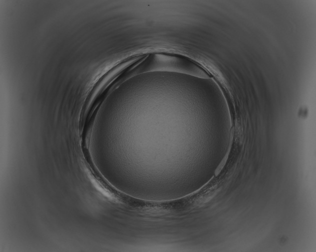 X0000093610389200710221611