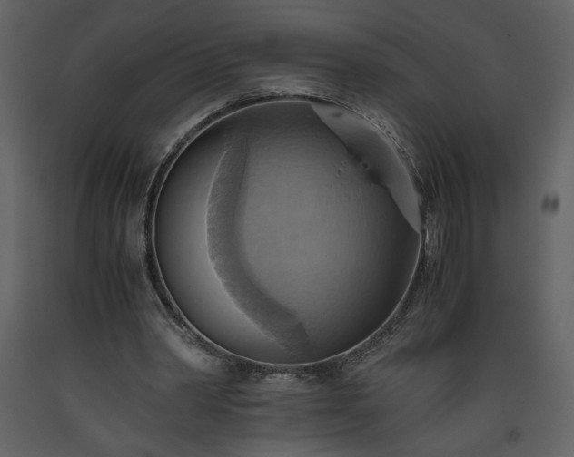 X0000093610390200710221611