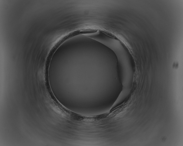 X0000093610391200710221611
