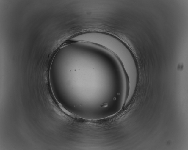 X0000093610393200710221611