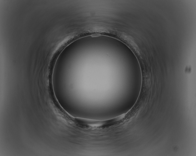 X0000093610395200710221611