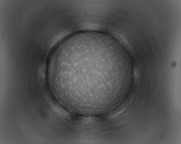 X0000093610396200710221611