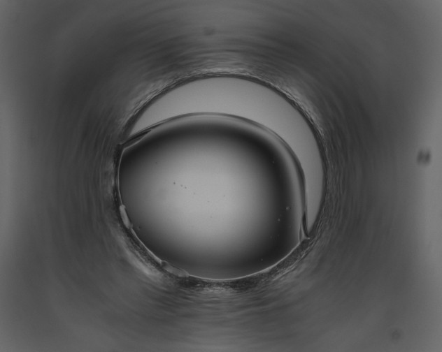 X0000093610397200710221611