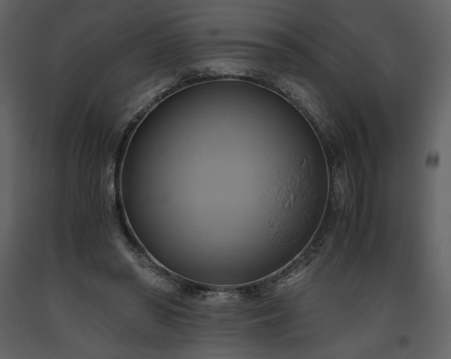 X0000093610398200710221611
