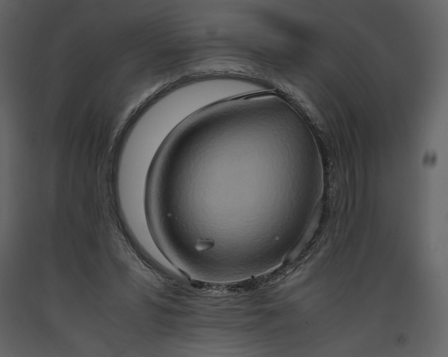 X0000093610399200710221611