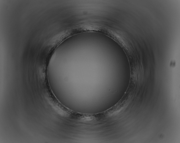 X0000093610402200710221611
