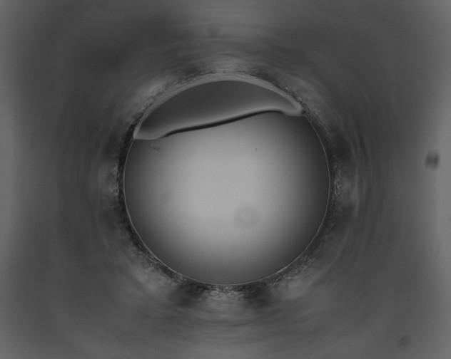 X0000093610403200710221611