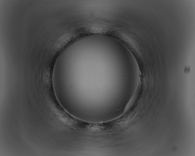 X0000093610407200710221611