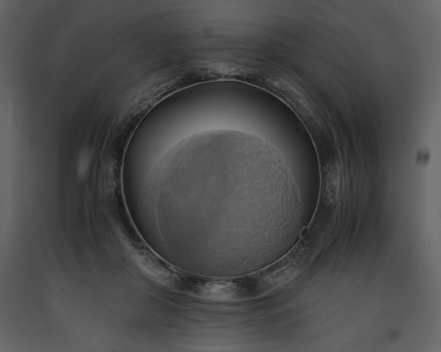 X0000093610410200710221611