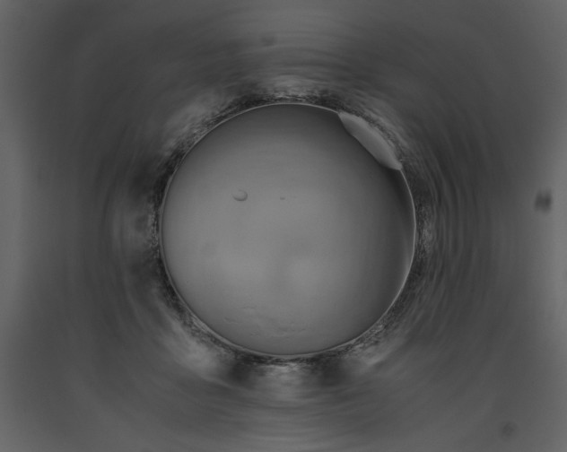 X0000093610411200710221611