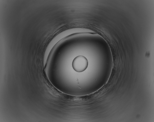 X0000093610413200710221611