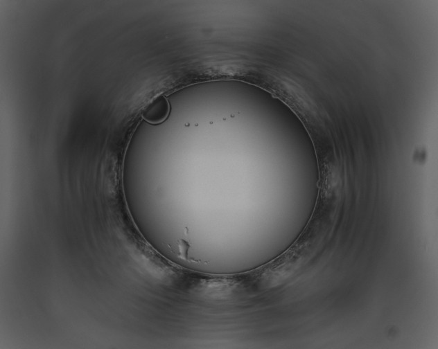 X0000093610414200710221611