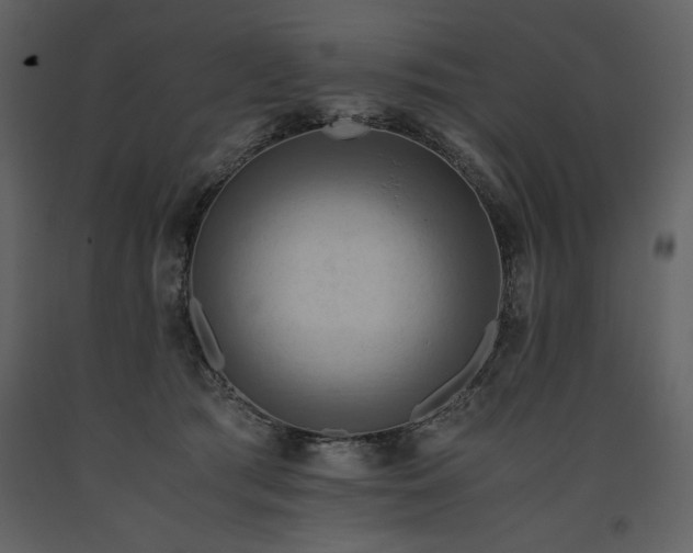 X0000093610417200710221611