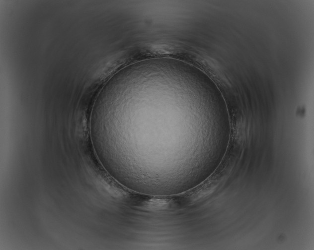 X0000093610418200710221611