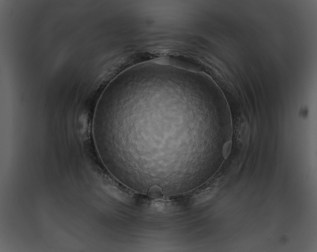 X0000093610420200710221611