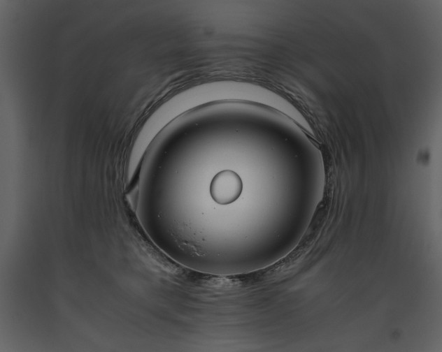 X0000093610421200710221611