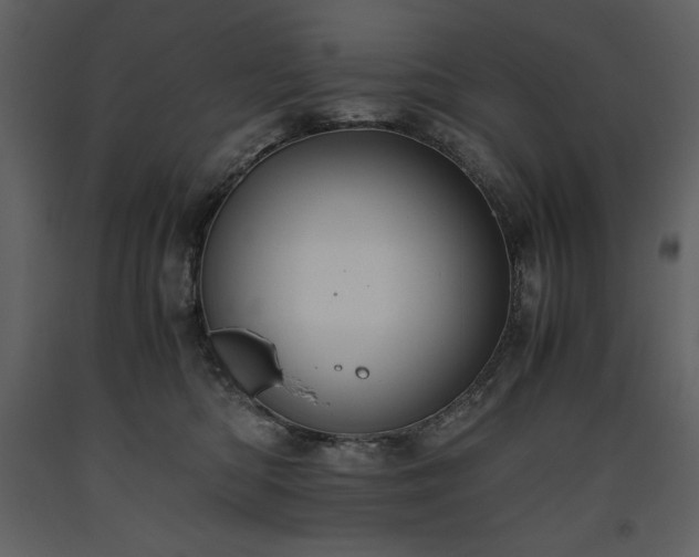 X0000093610422200710221611