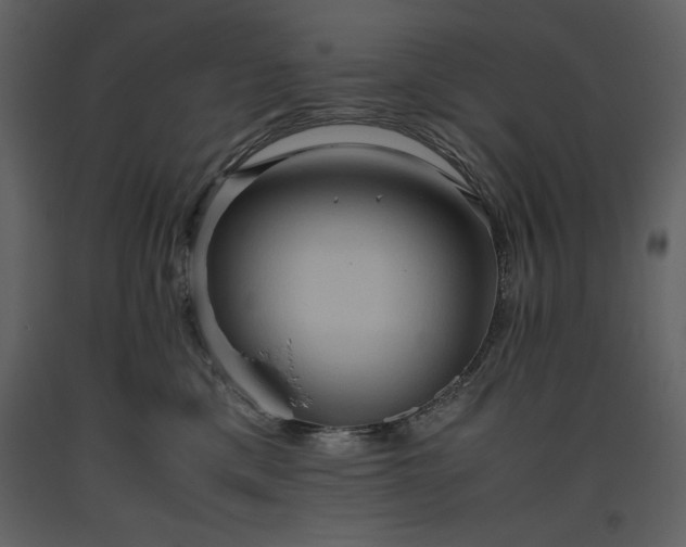 X0000093610425200710221611