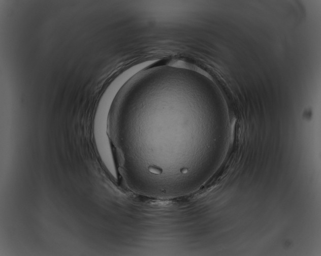 X0000093610428200710221611