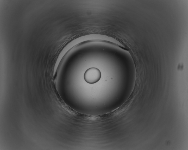 X0000093610432200710221611