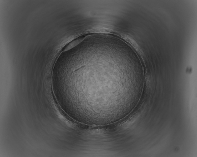 X0000093610433200710221610