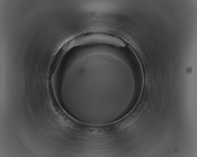 X0000093610434200710221610