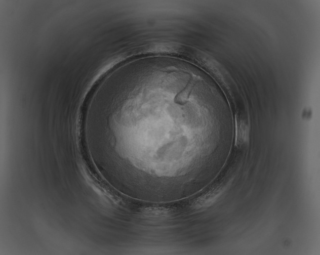 X0000093610435200710221610