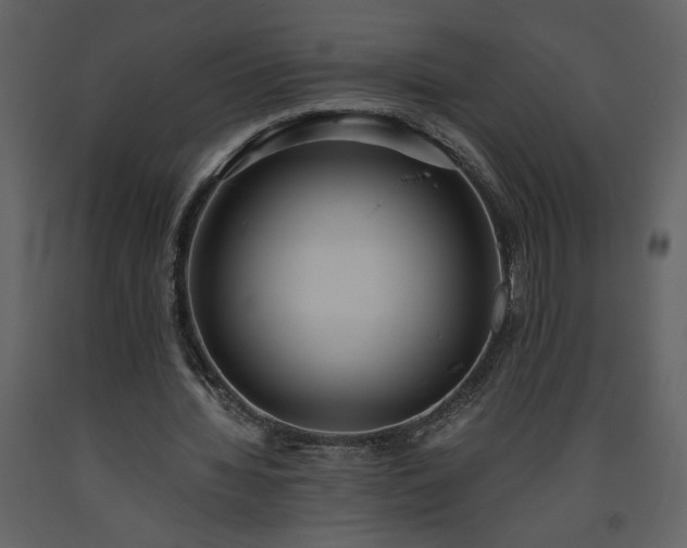 X0000093610436200710221610